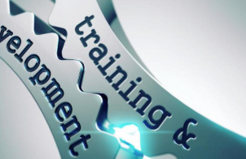 Training & Entwicklung